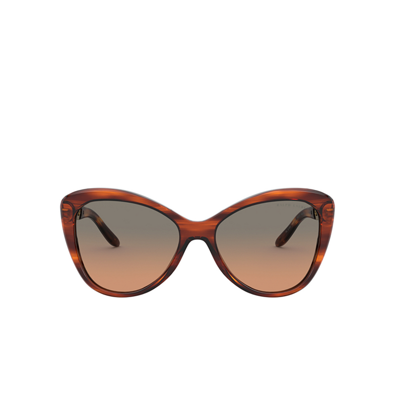 Gafas de sol Ralph Lauren RL8184 500718 shiny striped havana - 1/4