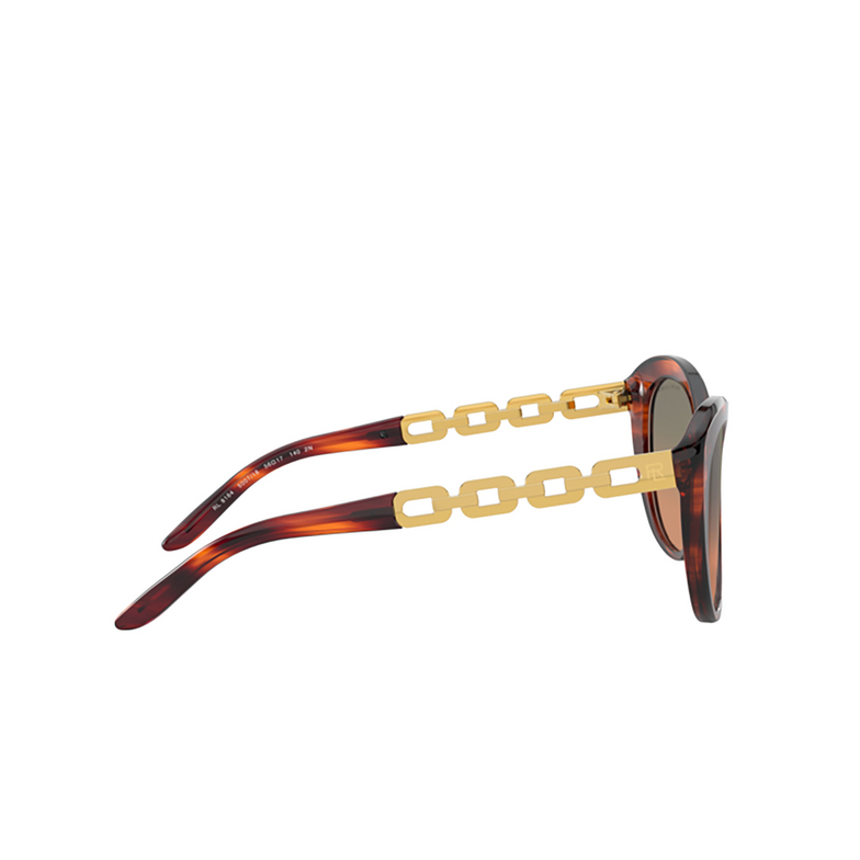 Gafas de sol Ralph Lauren RL8184 500718 shiny striped havana - 3/4