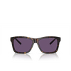 Gafas de sol Ralph Lauren RL8203QU 50031A havana - Miniatura del producto 1/4