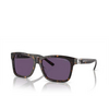 Gafas de sol Ralph Lauren RL8203QU 50031A havana - Miniatura del producto 2/4