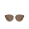 Ralph Lauren RL8210 Sonnenbrillen 50025W havana - Produkt-Miniaturansicht 1/4