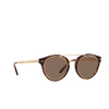 Gafas de sol Ralph Lauren RL8210 50025W havana - Miniatura del producto 2/4