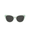 Ralph Lauren RL8215BU Sunglasses 608287 opal mint - product thumbnail 1/4