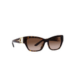 Gafas de sol Ralph Lauren THE AUDREY 500313 shiny dark havana - Miniatura del producto 2/4