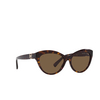 Occhiali da sole Ralph Lauren THE BETTY 500373 havana - anteprima prodotto 2/4