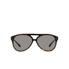 Ralph Lauren THE CRUISER Sonnenbrillen 5003R5 havana - Produkt-Miniaturansicht 1/4