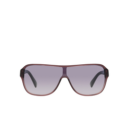 Ralph Lauren THE DILLION Sonnenbrillen 605279 transparent violet