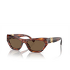 Ralph Lauren THE KIERA Sunglasses 500773 striped havana - product thumbnail 2/4