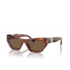 Lunettes de soleil Ralph Lauren THE KIERA 500773 striped havana - Vignette du produit 2/4