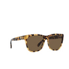 Lunettes de soleil Ralph Lauren THE RICKY II 500473 havana - Vignette du produit 2/4