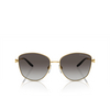 Ralph Lauren THE VIVIENNE Sunglasses 90048G gold - product thumbnail 1/4