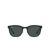 Ray-Ban CLYDE Sunglasses 002/87 green on black - product thumbnail 1/4