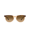 Ray-Ban EAGLEEYE Sunglasses 1292M2 havana on transparent brown - product thumbnail 1/4