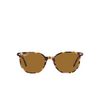 Gafas de sol Ray-Ban ELLIOT 135757 havana brown grey - Miniatura del producto 1/4