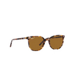 Gafas de sol Ray-Ban ELLIOT 135757 havana brown grey - Miniatura del producto 2/4