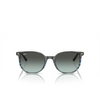 Ray-Ban ELLIOT Sunglasses 1391GK striped grey & blue - product thumbnail 1/4