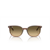 Ray-Ban ELLIOT Sunglasses 13920A striped brown & green - product thumbnail 1/4