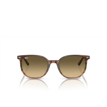 Ray-Ban ELLIOT Sunglasses 13920A striped brown & green - front view
