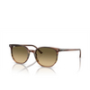 Ray-Ban ELLIOT Sunglasses 13920A striped brown & green - product thumbnail 2/4