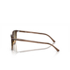 Ray-Ban ELLIOT Sunglasses 13920A striped brown & green - product thumbnail 3/4