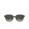 Ray-Ban ERIK Sunglasses 667571 opal dark grey - product thumbnail 1/4