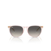 Ray-Ban ERIKA Sunglasses 674211 transparent pink - product thumbnail 1/4