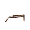 Ray-Ban HAWKEYE Sunglasses 1292M2 havana on transparent brown - product thumbnail 3/4