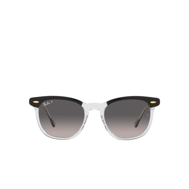 Ray-Ban HAWKEYE Sunglasses 1294M3 black on transparent - front view