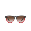 Ray-Ban IRIS Sunglasses 663113 grey on transparent red - product thumbnail 1/4