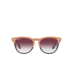 Ray-Ban IRIS Sonnenbrillen 66338H beige on transparent grey