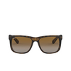 Ray-Ban JUSTIN Sunglasses 865/T5 rubber havana - product thumbnail 1/4