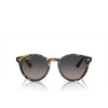Ray-Ban LARRY Sunglasses 1332GL yellow havana - product thumbnail 1/4