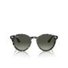 Ray-Ban LARRY Sunglasses 133371 grey havana - product thumbnail 1/4