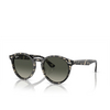 Ray-Ban LARRY Sunglasses 133371 grey havana - product thumbnail 2/4