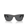Ray-Ban MEGA WAYFARER Sunglasses 1390B1 transparent - product thumbnail 1/4