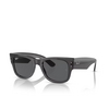 Ray-Ban MEGA WAYFARER Sunglasses 1390B1 transparent - product thumbnail 2/4