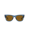 Gafas de sol Ray-Ban MEGA WAYFARER 668073 transparent blue - Miniatura del producto 1/4