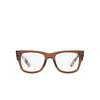 Lunettes de vue Ray-Ban MEGA WAYFARER 8295 transparent brown - Vignette du produit 1/4