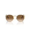 Ray-Ban NEW ROUND Sunglasses 001/51 gold - product thumbnail 1/4