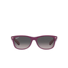 Ray-Ban NEW WAYFARER Sunglasses 6606M3 transparent grey - product thumbnail 1/4