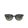 Ray-Ban ORION Sunglasses 133371 grey havana - product thumbnail 1/4