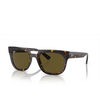 Occhiali da sole Ray-Ban PHIL 135973 havana - anteprima prodotto 2/4