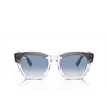 Ray-Ban RB0298S Sonnenbrillen 13553F grey on transparent - Produkt-Miniaturansicht 1/4