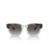 Lunettes de soleil Ray-Ban RB0298S 1376M3 havana on transparent green - Vignette du produit 1/4