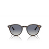 Ray-Ban RB2180 Sunglasses 710/4L light havana - product thumbnail 1/4