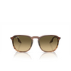 Ray-Ban RB2203 Sunglasses 13920A striped brown & green - product thumbnail 1/4