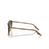 Ray-Ban RB2203 Sunglasses 13920A striped brown & green - product thumbnail 3/4