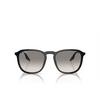 Ray-Ban RB2203 Sunglasses 901/32 black - product thumbnail 1/4