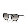 Ray-Ban RB2203 Sunglasses 901/32 black - product thumbnail 2/4
