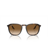Ray-Ban RB2203 Sunglasses 902/51 havana - product thumbnail 1/4